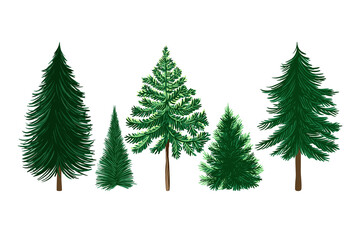 Obraz premium . Christmas trees set. Cartoon vector illustration.. Isolated design objects on a white background. Clipart..