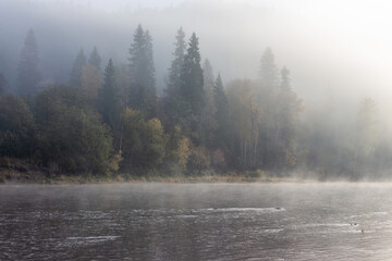 Fototapeta premium foggy morning on the river