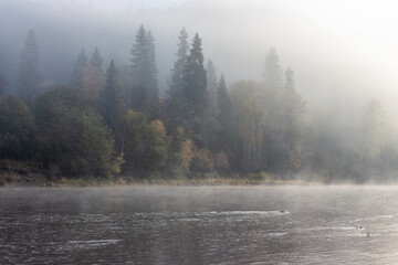 foggy morning on the river