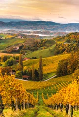 Foto op Plexiglas Zuid-Stiermarken wijngaarden landschap, Toscane van Oostenrijk. Zonsopgang in de herfst. © Przemyslaw Iciak
