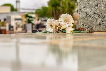 Flores deixadas sobre um túmulo