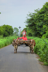 Fototapeta na wymiar Indian farmer and his child on bullock cart