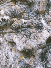 rock and water