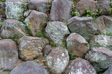 草の生えた石垣