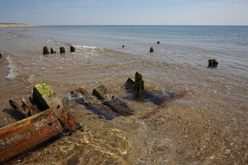 beach in the morning, Cape Cod