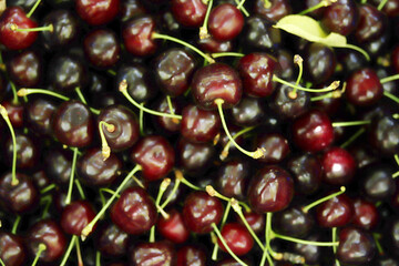  Fresh ripe cherries. Food background.