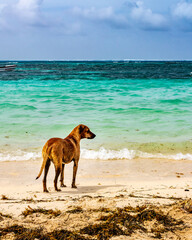 San Andres - Colombia