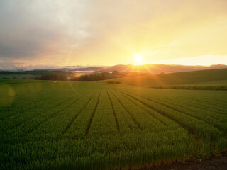 Obraz premium sunrise landscape view. Dawn of Happiness sunrise over the field.