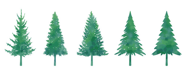 Illustration set of various fir trees (watercolor style)