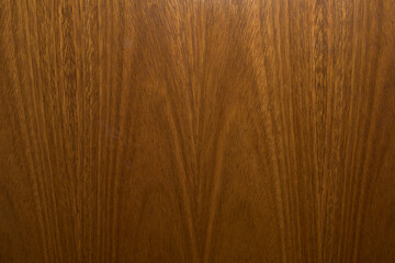 textura de madera arbol