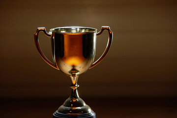 trophy on the wood background