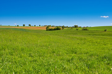 Wiesen und Felder im Sommer