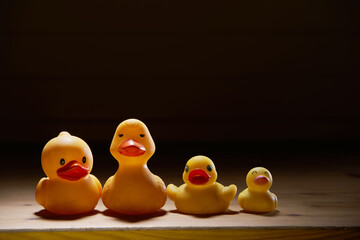  rubber duck on the yellow background