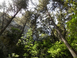The beaches of Potami on the greek island of Samos in the turquoise Aegean Sea, Greece
