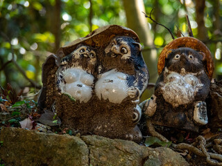 日本のインテリア