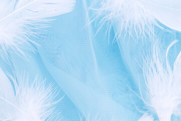 Frame of white feathers on the blue background of fabric. Creative background. Copy space, selective focus with shallow depth of field