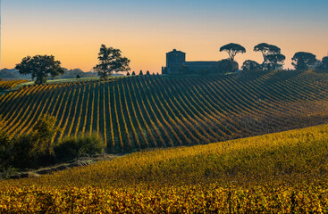 Bordeaux Vineyard at sunrise in autumn, Entre deux mers, Langoiran, Gironde, France - obrazy, fototapety, plakaty