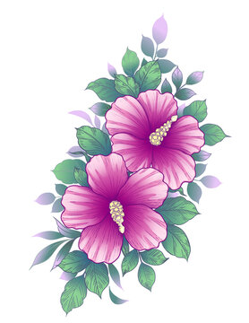 pink hibiscus flowers green leaves arrangement clip art preview
