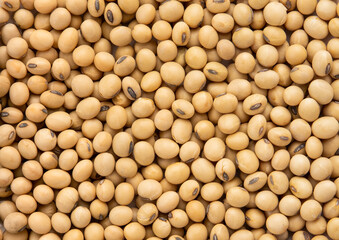 Top view Soybean pattern