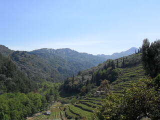 The colorful and beautiful landscapes of the mountains and valleys on the greek island of Samos in the Aegean Sea, Greece