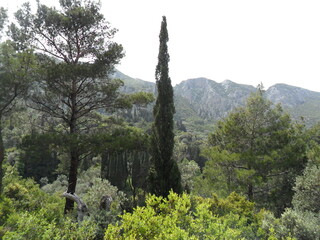 The colorful and beautiful landscapes of the mountains and valleys on the greek island of Samos in...