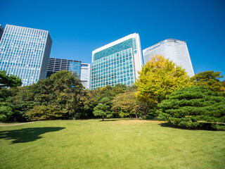 秋晴れの青空広がる東京の浜離宮庭園の風景　10月