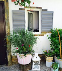 flowers in front of house