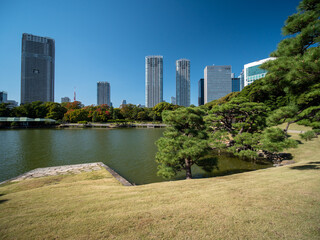 Obraz premium 秋晴れの青空広がる東京の浜離宮庭園の風景 10月