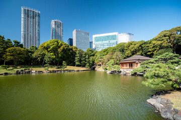 Fototapeta na wymiar 秋晴れの青空広がる東京の浜離宮庭園の風景　10月