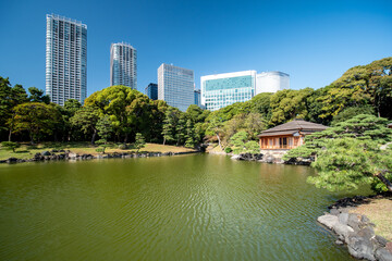 Fototapeta premium 秋晴れの青空広がる東京の浜離宮庭園の風景 10月