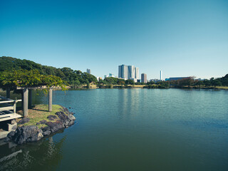 Obraz premium 秋晴れの青空広がる東京の浜離宮庭園の風景 10月