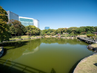 Fototapeta na wymiar 秋晴れの青空広がる東京の浜離宮庭園の風景　10月