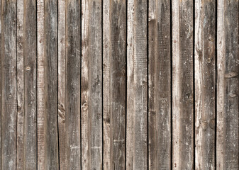 background © Alisa