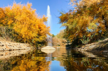 Fountain reflected in the water with trees on the sides