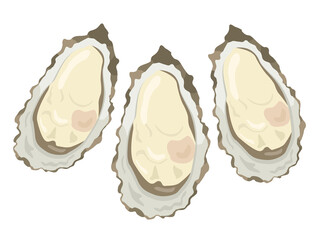 新鮮な牡蠣のイラスト