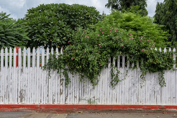 The white picket fence is painted on the bottom edge with red.