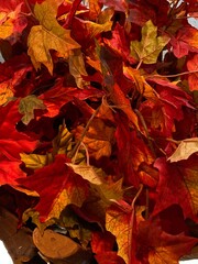 red autumn leaves close up