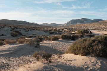 sandy ladscape