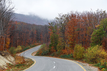 Winding road in the autumn mountain forest