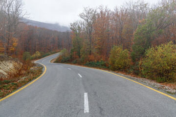 Winding road in the autumn mountain forest