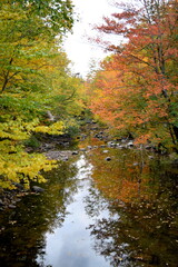 Fototapeta na wymiar River In Autumn