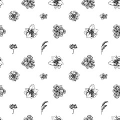 Seamless pattern with black and white anemone, lavender, rosemary everlasting, phalaenopsis, lily, iris