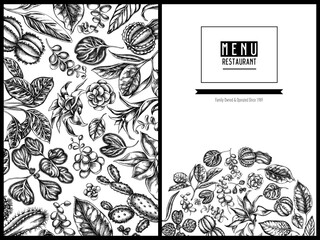 Menu cover floral design with black and white ficus, iresine, kalanchoe, calathea, guzmania, cactus
