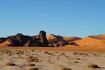 Landscape in the desert.