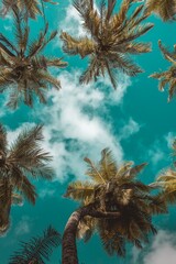 tropical island with palm trees