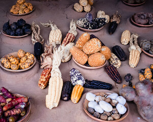 Thanksgiving food and veggies