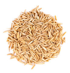 Unpeeled oat grains, isolated on white background. Organic dry oat seeds. Top view.