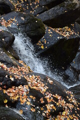 Waterfall in Autumn
