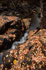 Waterfall in Autumn