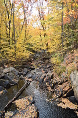 Waterfall in Autumn